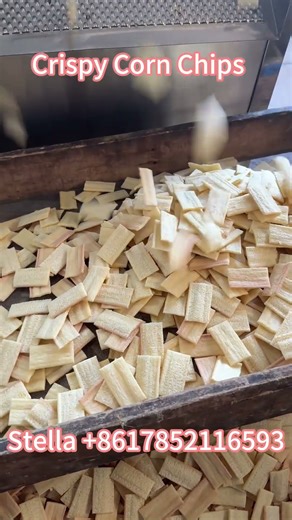 Crispy Fried Snack Production Line | SLT70 Extruder Machine