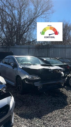 sti 🔜 #rip #static #wrx | wrx