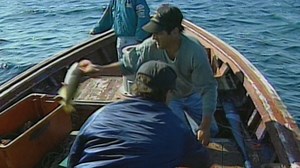 Keeping an eye on the catch