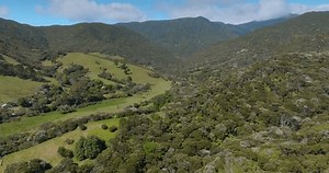 Aerial view of a New Zealand valley. Rolling hills, lush forests, and scattered farm buildings. Natural beauty. PORT CHARLES, COROMANDEL PENINSULA, NEW ZEALAND
