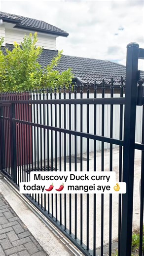 Muscovy Duck Curry Recipe