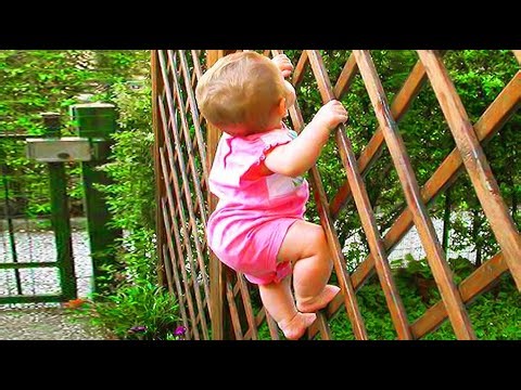 🔴 [LIVE] Try Not To Laugh - 30 minutes Funniest Baby Moments || Cute Wee