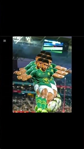 rugby springboks edit #Aiden