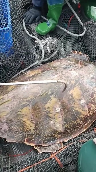 Smart Fishing Experts Landing Massive Catches