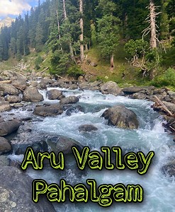 Aru valley known for its scenic meadows lakes and mountains it has a very naturistic view surrounded by mountains big devdar, pine trees and lidder river adds to its beauty. #Kashmir #travel #beautifuldestinations #explorepage #nature #places | Shah Hilal Photography