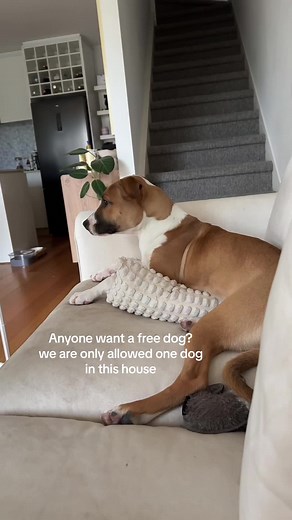 Christina Podolyan (@christinapodolyan)’s videos with Dramatic Sad Violin - Platon Davydov