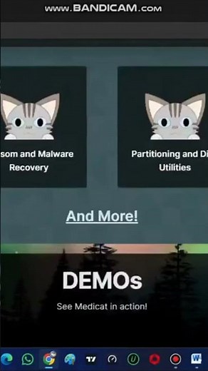 How to Create and Use medicat USB