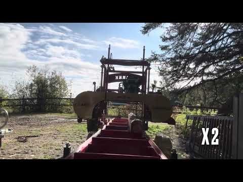 Have fun at the Sawmill