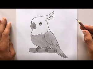 DRAW a Beautiful Parrot 🦜 | step by step drawing tutorial 😊