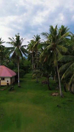 Isla Polillo Beach & Resort 🏖️🌱 | Pretty Bells