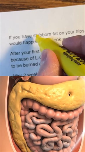 What would happen if you took this delicious fat-burning shot every day? 🔥 Week 1: You feel the heat within minutes. Your body starts sweating more during workouts. You notice sustained energy without crashes. 🔥 Week 2: Your clothes fit differently. The stubborn fat around your midsection starts shrinking as CaloriBurn GP targets visceral fat stores. 🔥 Week 3: People start asking what you're doing differently. Your body is efficiently converting stored fat into energy with 2000mg of liquid L-