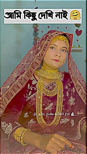 আমি নেত্রকোনার মানুষ 😊😅 | ভিডিও কিভাবে শুটিং করে দেখুন সবাই | Tik Tok Viral Voice 2026