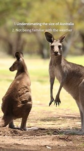 Traveling to Australia means knowing the do's and don't's before you make the trip. After years of traveling throughout Australia, we've picked up the ultimate list of mistakes to avoid so you can have a smooth-sailing journey. Check out our list of 14 mistakes to avoid before traveling to Australia: https://bit.ly/4erHR7n Here's a quick rundown: 1. Underestimating the Size of Australia - For some reason people have this idea that Australia is a rather small island. Actually, Australia is about 