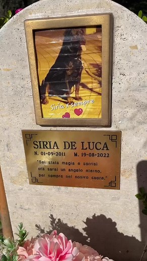 Memorable Moments at the Pet Cemetery