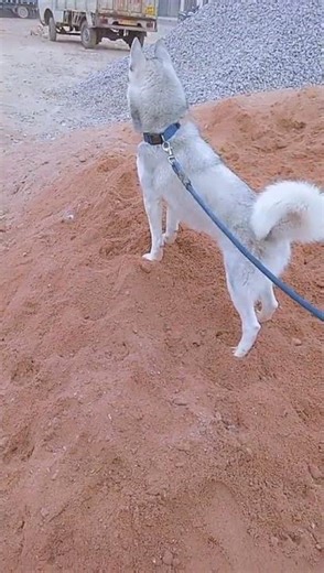 subha ho gyi Romo ki#