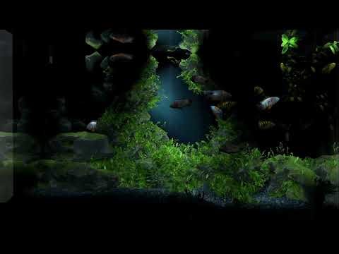 AQUARIUM / FISHTANK IDEAS - ultimate virtual fishtank