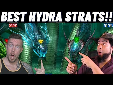 Hydra Clan Boss: BEST CHAMPS & STRATS!