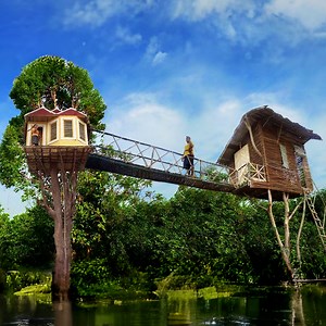 1.2M views · 33K reactions | Building a big tree house in the middle of the jungle! | MetDaan DIY | Facebook