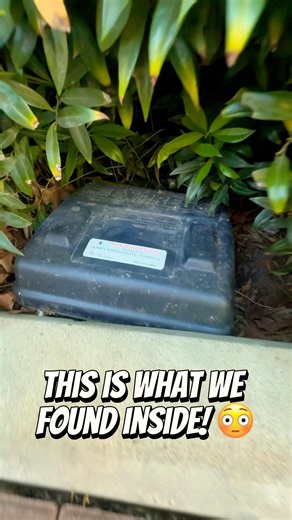 Rat CAUGHT in bait station | Pest Control New Westminster 🐀