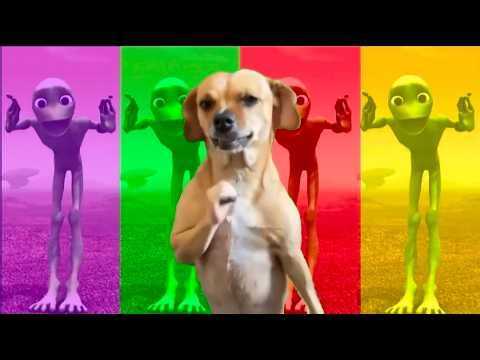 The Forbidden Space Rhythms: Alien Dance Full Movie 🌌💀