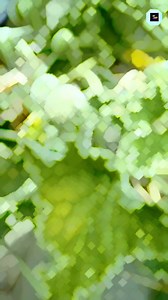 12K views · 61 reactions | Amazing 勒Cucumber Explosion......勞 #shorts...