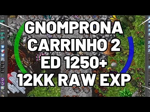 HUNT ED 1250+ 12KK RAW EXP GNOMPRONA CRYSTAL ENIGMA (CARRINHO 2)
