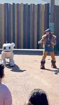 Meeting Toothless Son Pouncer at Isle of Berk (Universal Epic Universe)