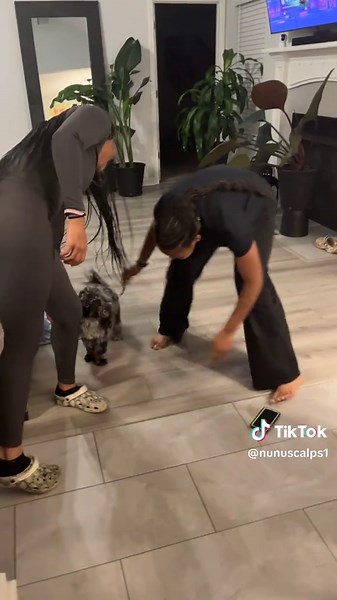 Yes we have to pray including the dogs .