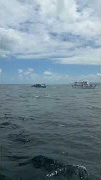 “Quien no amas a jesus” #dj #paz #dj #podcast #frases #automobile #games #gym #india #carhop #irocz