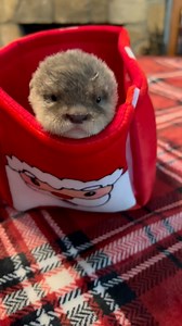 323K views · 6.1K reactions | Take 15% OFF Promo Code HAPPY15 exp...