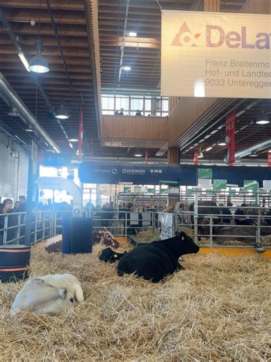 林宣 Xuan Lin on Reels