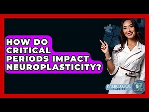 How Do Critical Periods Impact Neuroplasticity? - Psychological Clarity