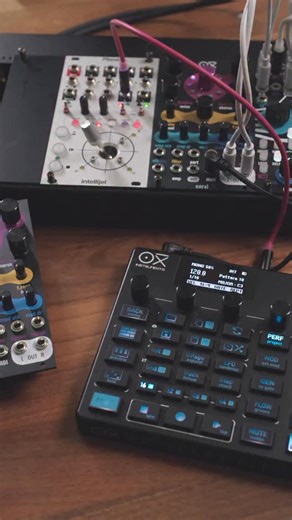 OXI Instruments on Instagram: "Did you know that OXI One MKII has a CV input that you can use as a modulation source? The fun thing is that you can easily convert any CV modulation into a midi one ! #oxionemkii #oxicoral #oxiinastruments #eurorack #sequencer #musictech #modularsynth"