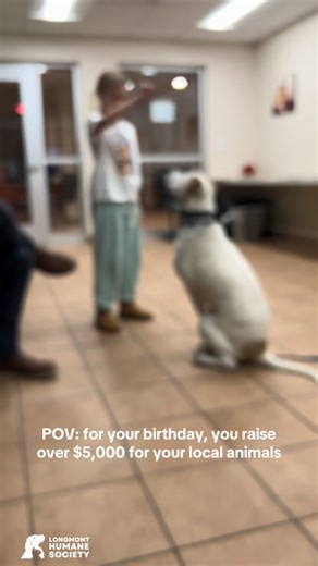 Our Hero of the Week! 💙 A huge thank you, and belated happy birthday to Sierra! Every single year, instead of gifts for her birthday she chooses to give back to a nonprofit in her community. This year, she raised an incredible $5,000 for our animals here. Her kindness and undeniably big heart will ensure that so many animals receive the care, comfort, and love they deserve. We were so honored to celebrate Sierra with a private tour of the shelter (even though she’s a seasoned veteran already!),