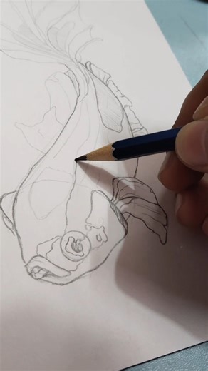 fish pencil sketch #sketchbook #art #artist #drawing #trending #shorts #fyppppp.