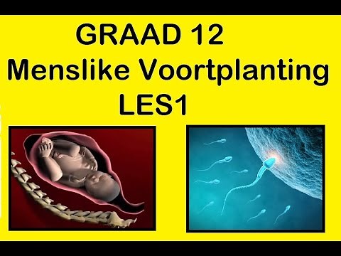 Lewenswetenskappe GR12 Menslike Voortplanting Les1