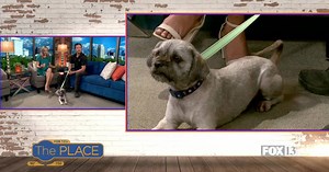 What does that face remind you of?  Here's a hint - it's a loveable "Star Wars" character