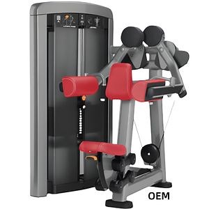 [Hot Item] Gym Machine Shoulder Exercise Workout Body Building Sports Equipment Factory Fitness Lateral Raise