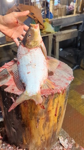 Amazing golden varp fish Cutting skills in Bangladesh fish market By expert cutter part #shorts