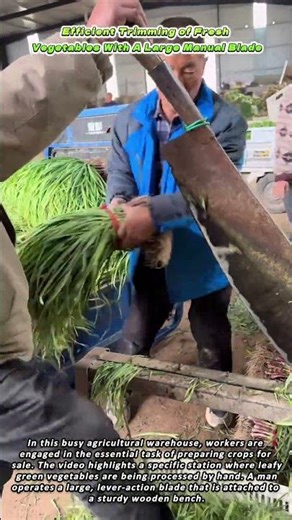 Efficient Trimming of Fresh Vegetables With A Large Manual Blade