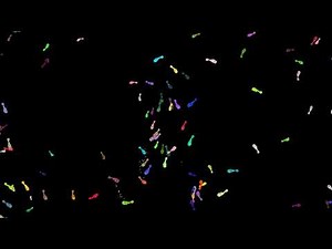 Digital Aquarium: Relax with Virtual Fish in Motion