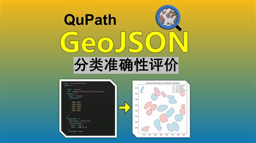 QuPath与GeoJson：分类准确性评价