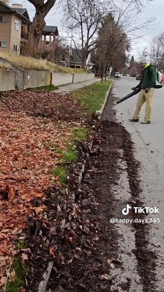 Power Broom vs Leaf Blower: Which to Choose for Cleaning?