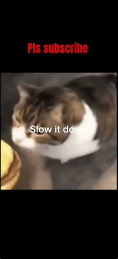 cheeseburger #funny #jokes #memes #trending #funnyimages #relatable #viral