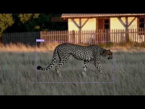 AI Based Animal Detection System | Safety Detection |Real-Time CCTV Monitoring