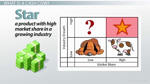 Cash Cow Definition, Advantages & Disadvantages