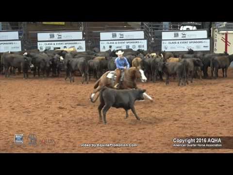 A Judge's Perspective: 2016 AQHYA Cutting World Champion