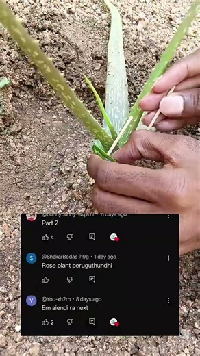 crazy experiment part 2 #telugu #experiements #experiment #lifehacks #shorts