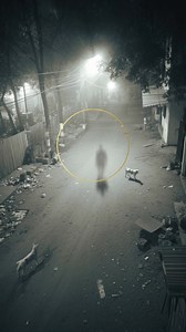 Can dogs see spirits too? | RkR History 000