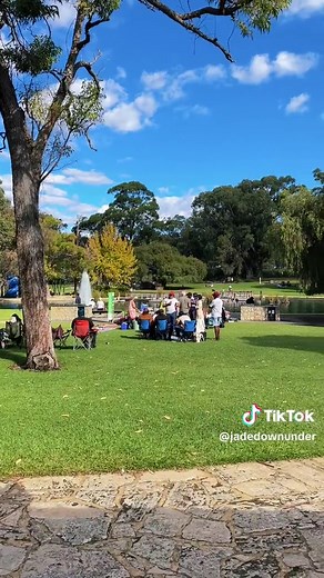 Explore Kings Park: A Must-Visit Destination in Perth